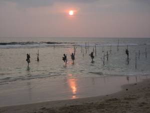Fishermen at sunset, south of Galle