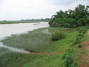 the Posco site alongside Dhinkia village