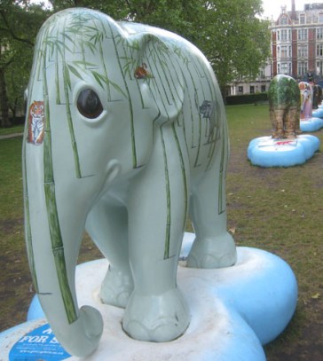 WPSI-elep 5053 cropped