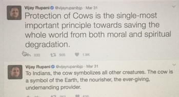 Cow tweets IMG_1916