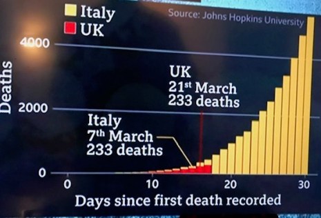 Virus graph IMG_8996
